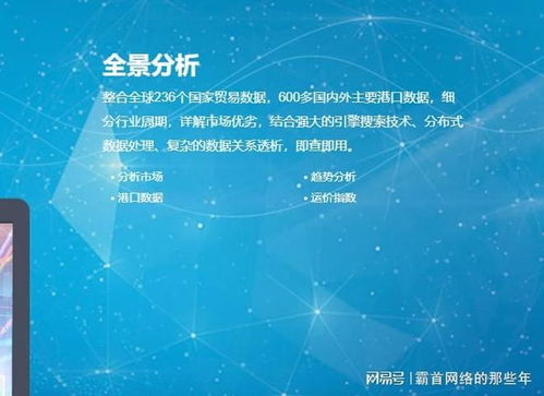 2025年海關數(shù)據(jù)公司選擇指南 實力、口碑與避坑全解析